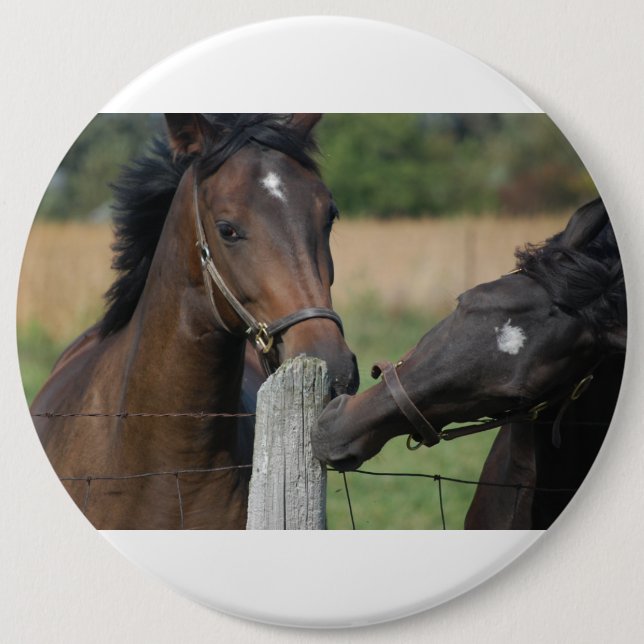 2 Horses Chewing a Fence Post Pinback Button (Front)
