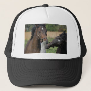 2 Horses Chewing a Fence Post Trucker Hat