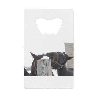 2 Horses chewing on a Snowy Fence Credit Card Bottle Opener