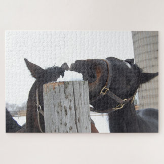 2 Horses chewing on a Snowy Fence Jigsaw Puzzle