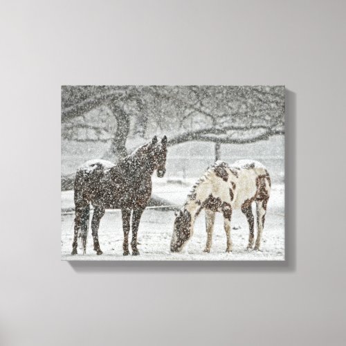 2 Horses Outside in Winter during Snowy Weather Canvas Print