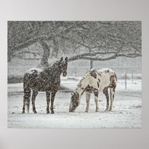 2 Horses Outside in Winter during Snowy Weather Poster