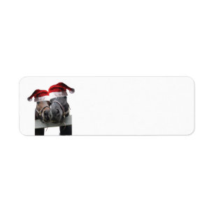 2 Horses wearing Santa Claus hats for Christmas Label
