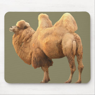 2 HUMP CAMEL MOUSE PAD