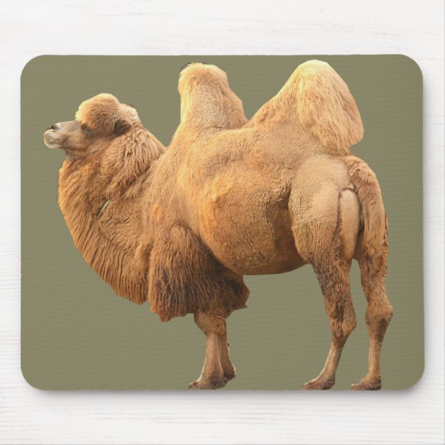 2 HUMP CAMEL MOUSE PAD (Front)