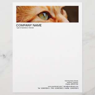 2 in Header 1/2 Inch Border - Cat Letterhead
