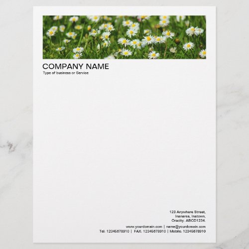 2 in Header 12 Inch Border _ Daisies and Grass Letterhead