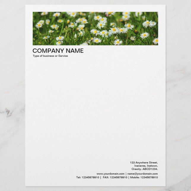 2 in Header 1/2 Inch Border - Daisies and Grass Letterhead (Front)