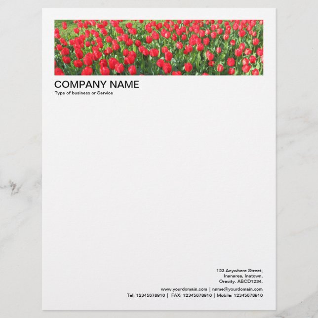 2 in Header 1/2 Inch Border - Red Tulips Letterhead (Front)