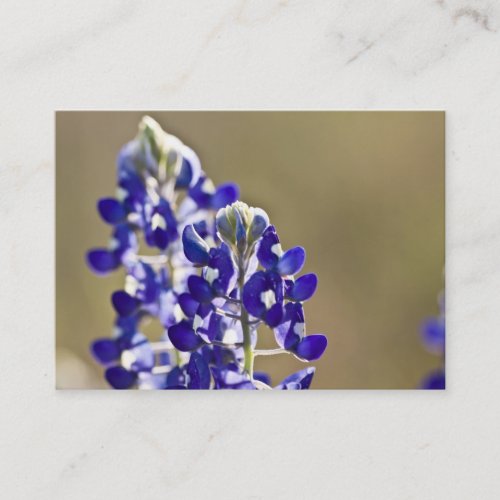 2 is better than one business card template