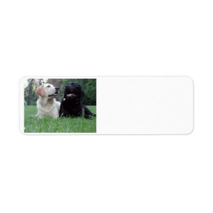 2 labs.png label