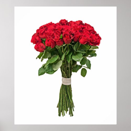 2 Lg Exquisite Flowers Poster