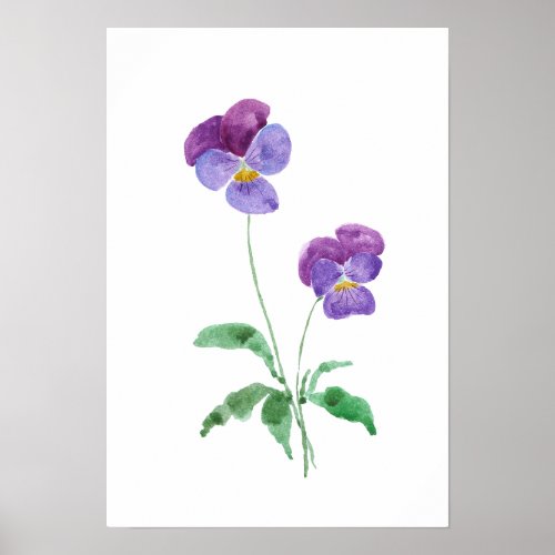 2 little purple pansies watercolour  poster