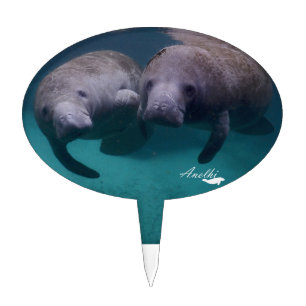 2 Manatee Friends cake topper