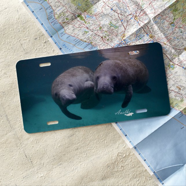 2 Manatee Friends license plate (In Situ)