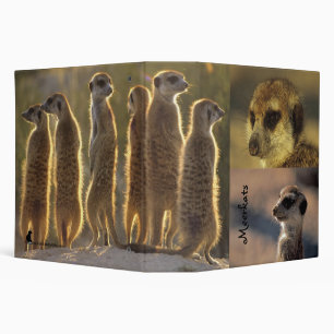 2" Meerkats Binder - Flower Mozart