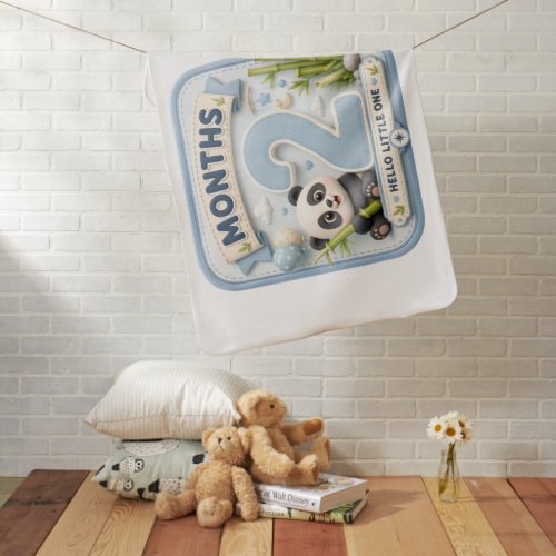 2 Month Baby Milestone Blanket