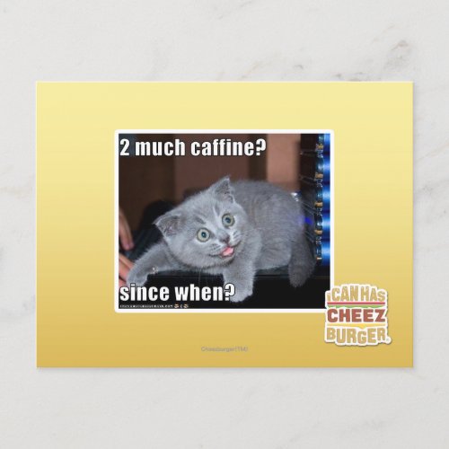 2 much caffine postcard