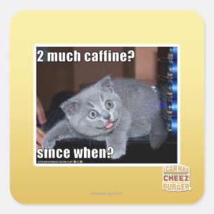 2 much caffine? square sticker