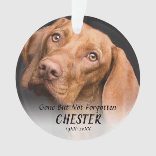 2 Pet Memorial 2021 Christmas Ornament