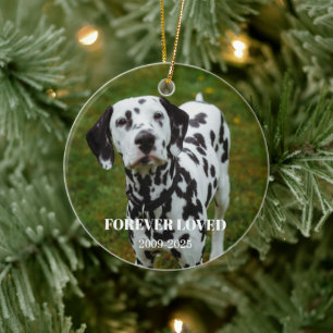 2 Pet Photo & Free Text Personalized Memorial Ceramic Ornament