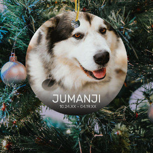 2 Photo Pet Memorial   Christmas Keepsake Ceramic Ornament