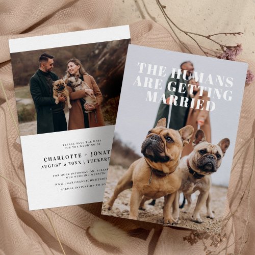 2 Photo Simple Funny Dog Wedding Save The Date