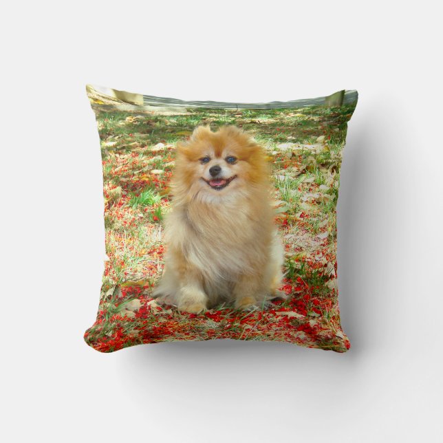 2 Photos Cute Pomeranian dog red flowers Throw Pillow (Front)