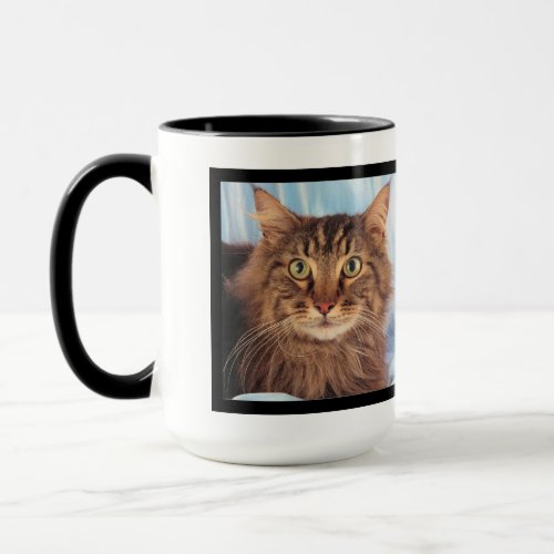 2 Picture Photo Mug Template