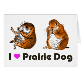 2 preirie dogs cards