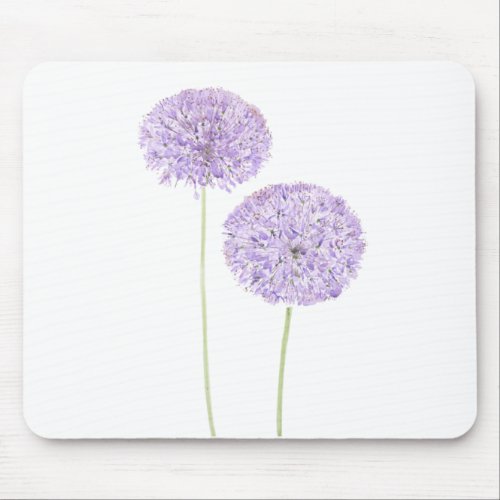 2 purple Allium watercolor Mouse Pad