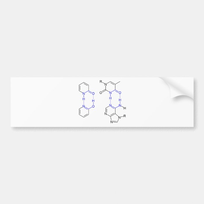 2 Pyridone Chemical Basepair Bumper Stickers