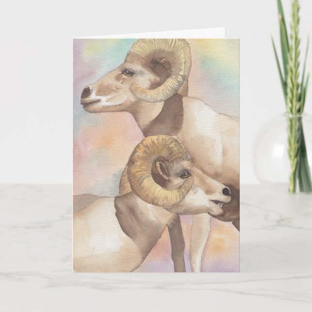 "2 Rams Watercolor Sketch/Arrowhead" Greeting Card (Front)
