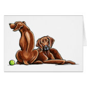 2 Rhodesian Ridgebacks (Front Horizontal)