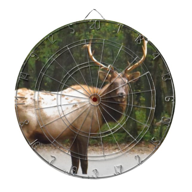 2 Rocky Mountain Elk Dart Board (Front)