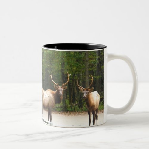 2 Rocky Mountain Elk Two_Tone Coffee Mug
