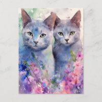 2 Russian Blue Cats flower field