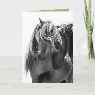 2 Sable Island Stallions Wild Horse Greeting Card