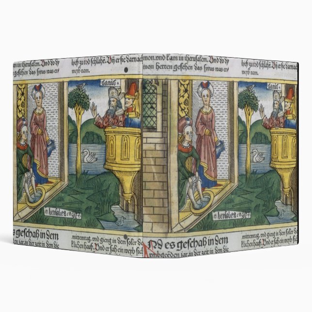 2 Samuel 11 1-5 David sees Bathsheba bathing, from 3 Ring Binder (Background)