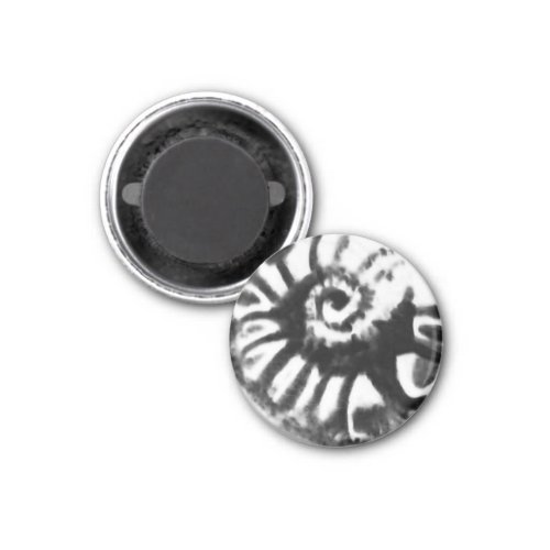 2 sided fossil nautiloid design in   black button magnet