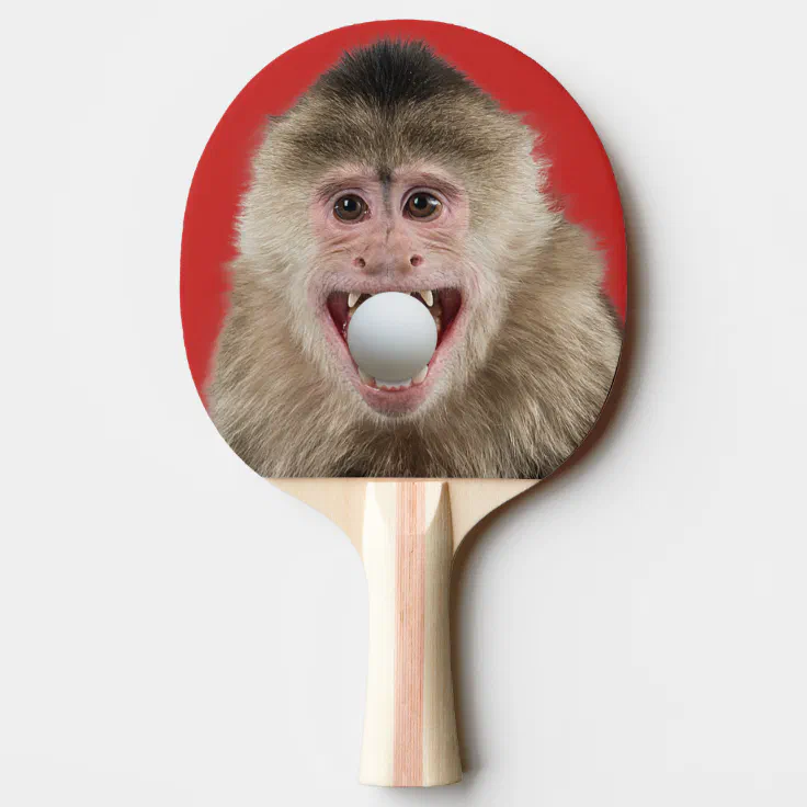 2-Sided Funny Monkey With Ball in Mouth Ping Pong Paddle | Zazzle