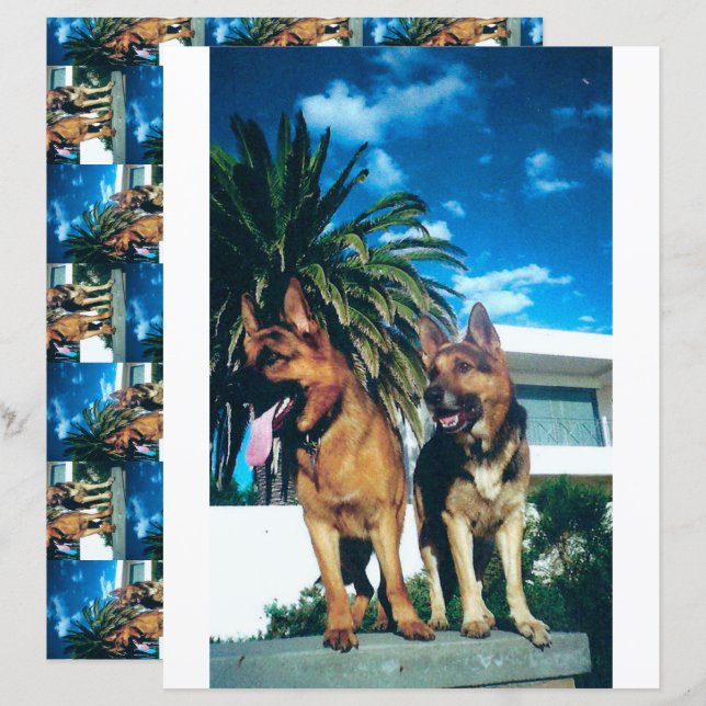 2 sided german shepherd group scrapbook (Front/Back)