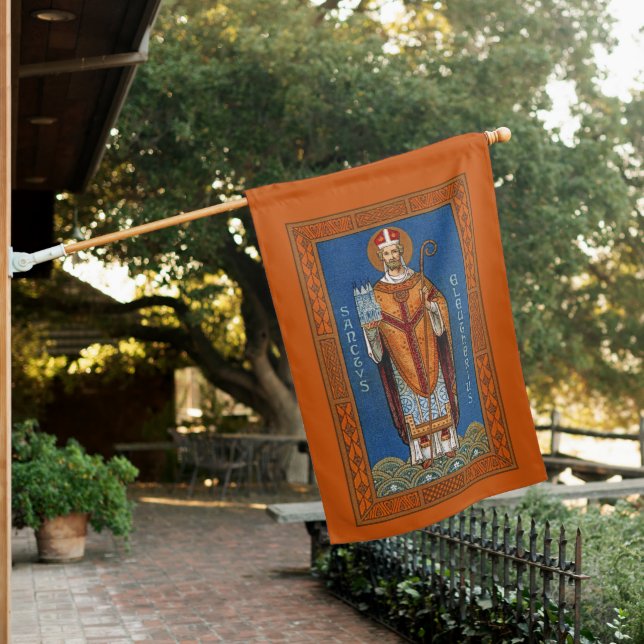 2-sided St. Eleutherius of Tournai (DG 01) House Flag (In SItu)