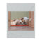2 sleeping bulldogs.png