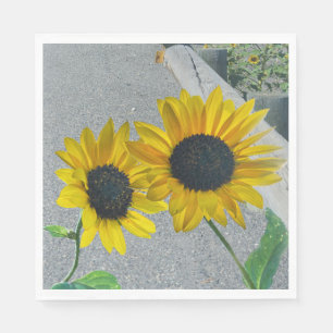 2 Sunflowers wedding casual country eat party Napkins