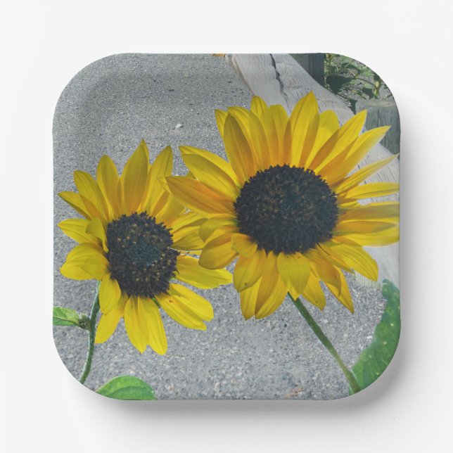 2 Sunflowers wedding or country eats Paper Plates (Front)