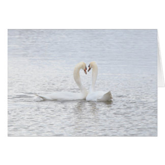 2 swans form a heart cards