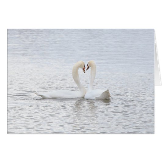 2 swans form a heart cards (Front Horizontal)