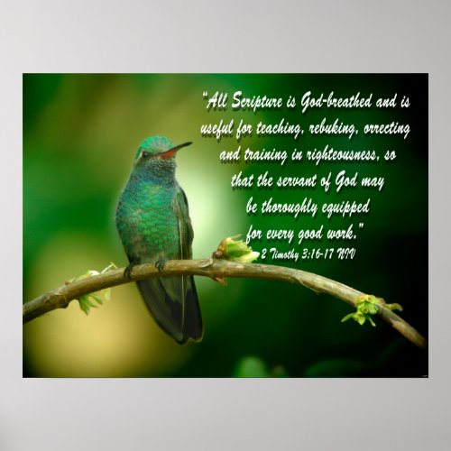 2 Timothy 316_17 Christian Poster Hummingbird