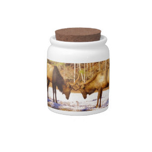 2~ two Bull Elk in the snow Candy Jar